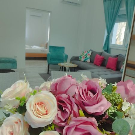 Apartman Radovic Smederevo Extérieur photo
